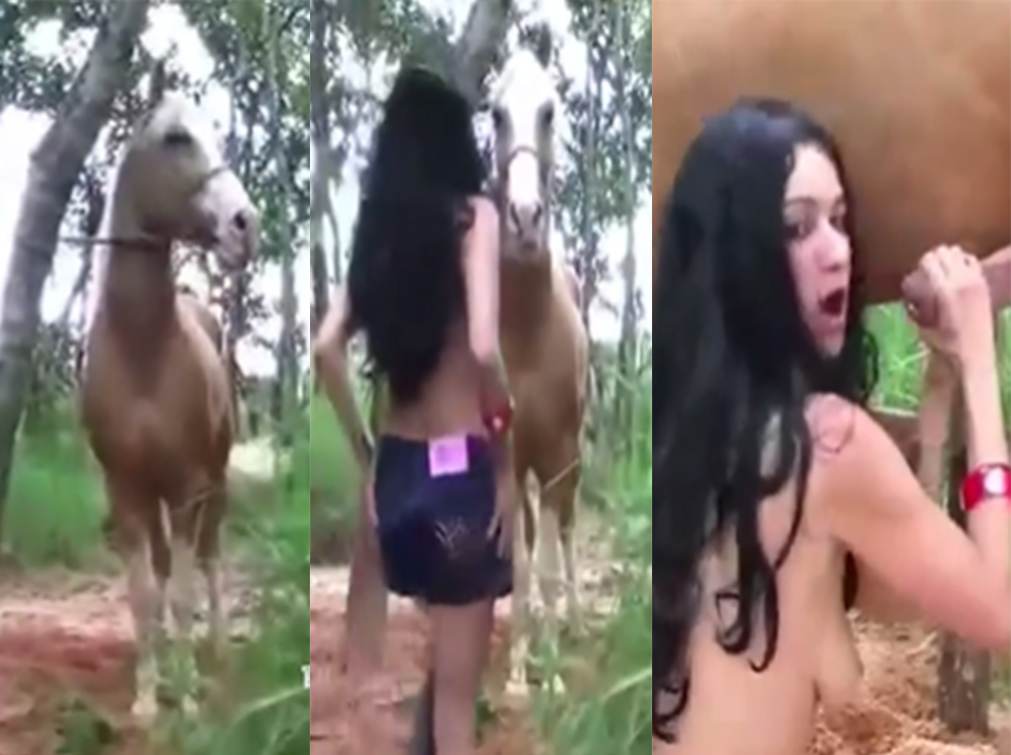 户外美女和马