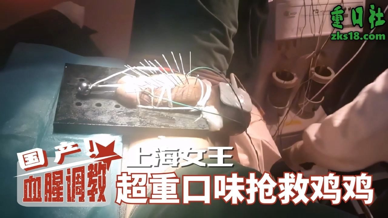 国产血腥调教-上海女王超味抢救鸡