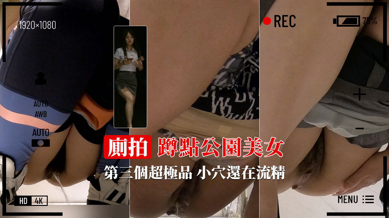 [厕所偷拍]蹲点公园偷拍美女嘘嘘小穴貌似流精难道刚野战完