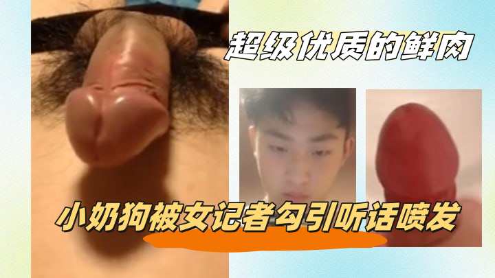 超级优质的鲜肉小奶狗被女记者勾引听话喷发