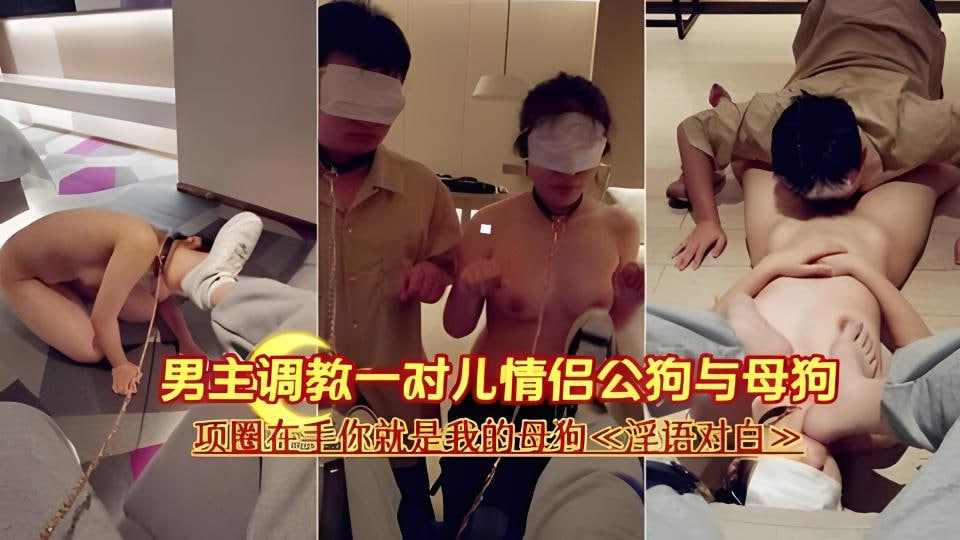男主调教一对儿情侣公司狗与母狗