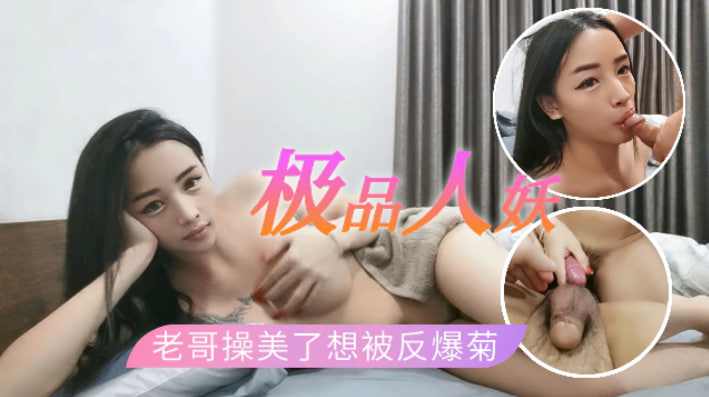老哥高价约操极品人妖玩美了还想体验被爆菊的感觉