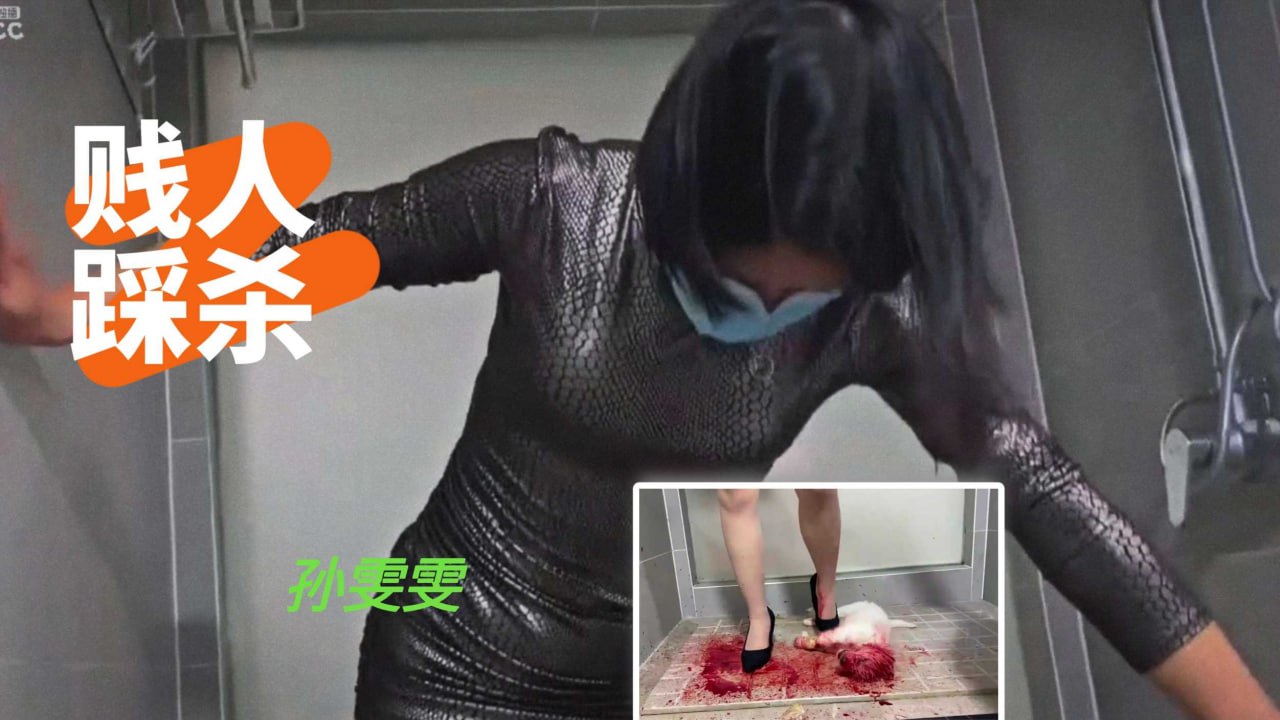 贱人孙雯雯踩杀动物，蛇蝎心肠