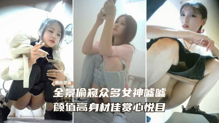 [厕所偷拍]商场女卫生间全景偷拍多位小姐姐嘘嘘，绝佳身材人美逼靓