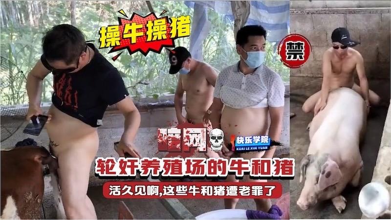 越南约了个骚气短发少妇， 口交屌上抹上酸奶舔弄干净