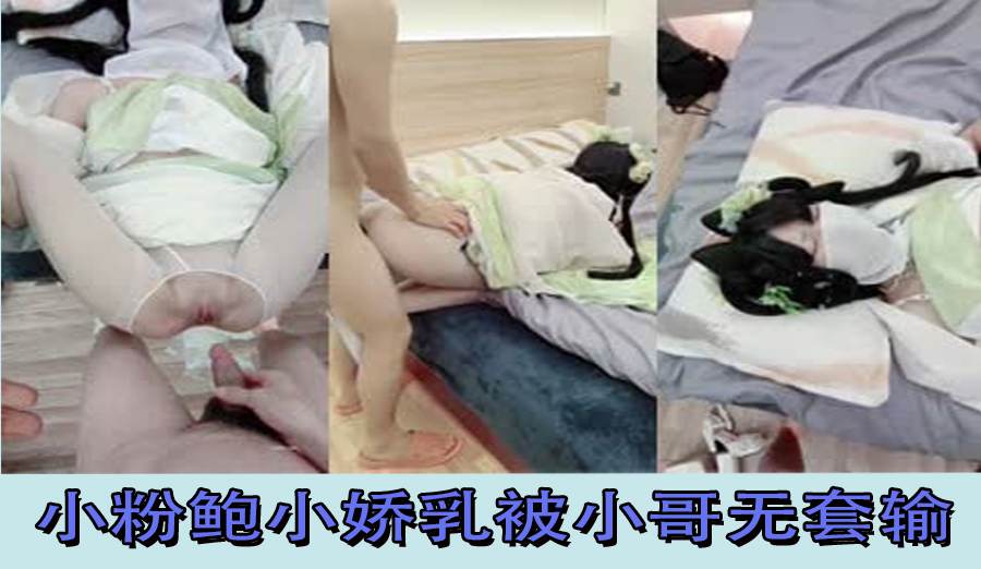 身材苗条小粉鲍小娇乳被小哥无套输