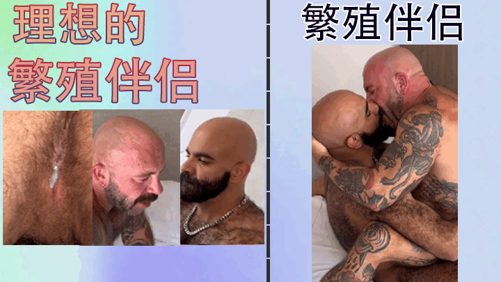 理想的繁殖伴侣