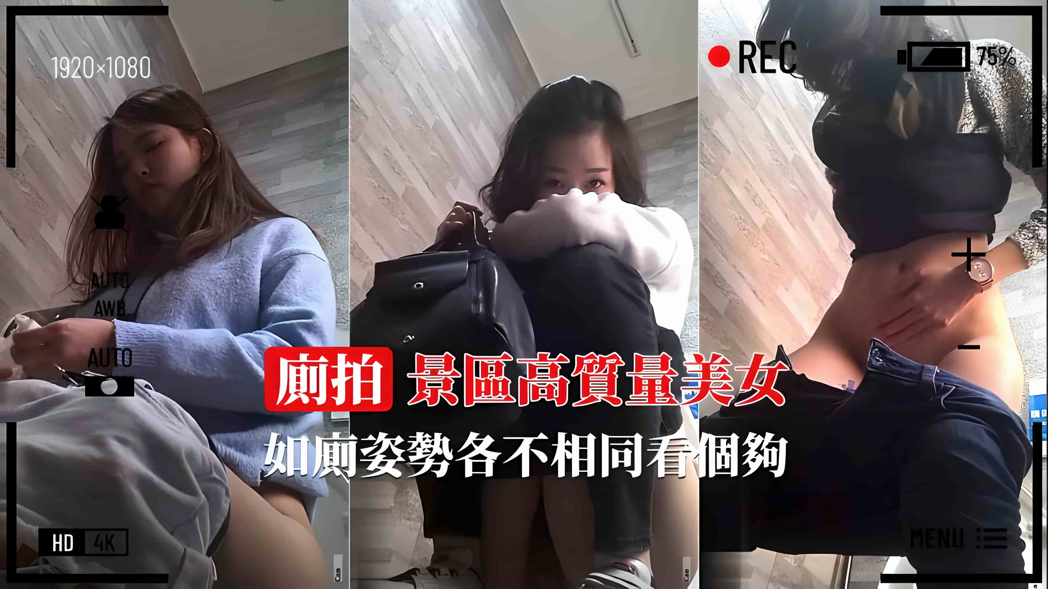 【景区厕拍】高质量美女如厕姿势各不相同海报剧照