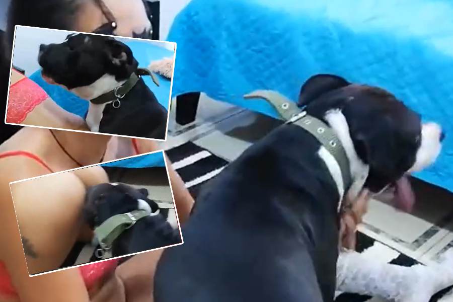 人狗受精01少女不顾全家人反对执意跟爱狗犬交配 人狗受精01少女不顾全家人反对执意跟爱狗犬交配