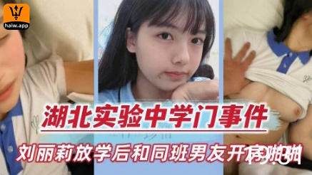 湖北实验中学门事件刘丽莉放学后海报剧照